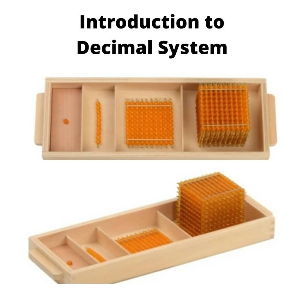 Montessori Introduction To Decimal System UAE